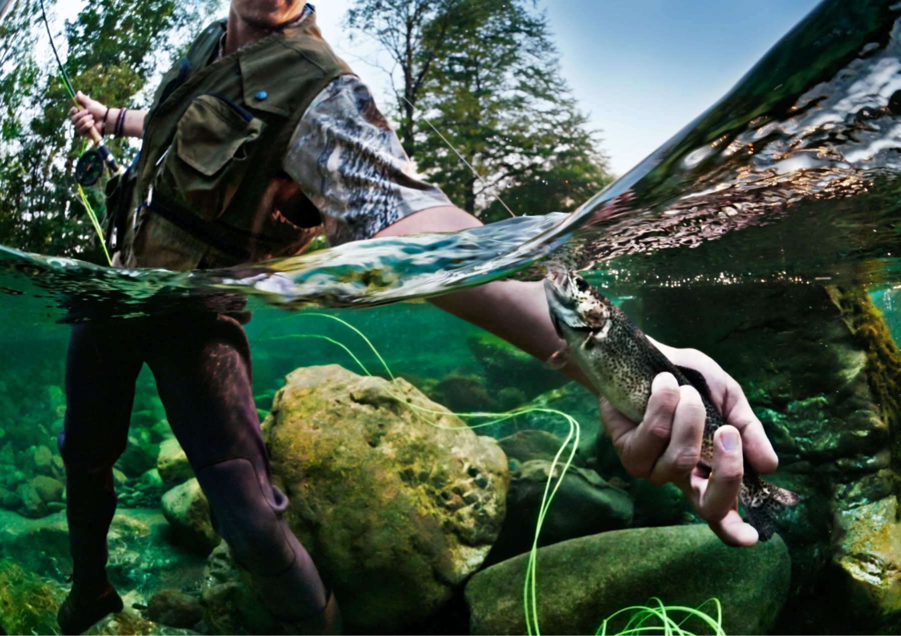 Worcester Angling Centre Fishing Tackle Store in Worcester