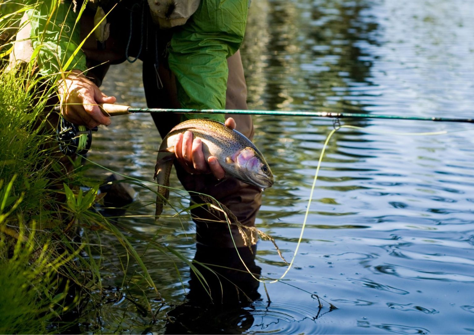 Worcester Angling Centre Fishing Tackle Store in Worcester